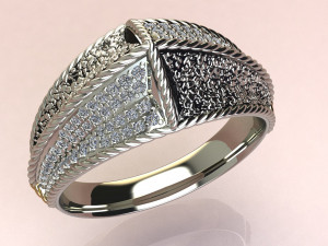 Ring day and night 3Dプリントモデル
