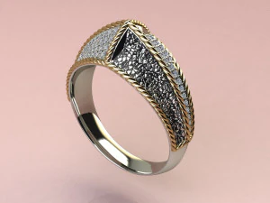 Ring day and night 3D Print Model