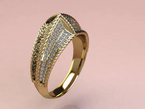 Ring day and night 3D Print Model