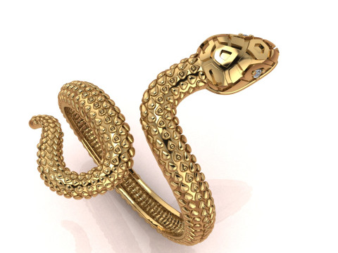 Snake ring 3D Baskı Modeli
