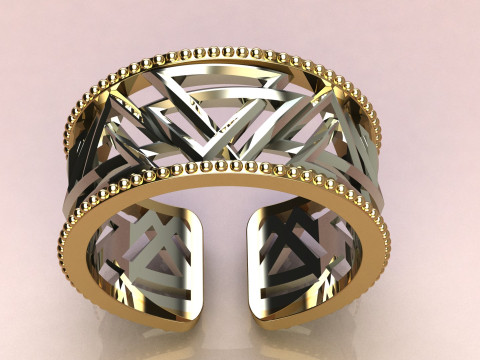 Silver Ring abstract Modello di stampa 3D