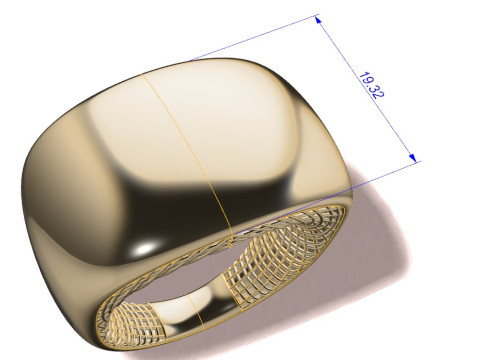 Ring with mesh 3Dプリントモデル