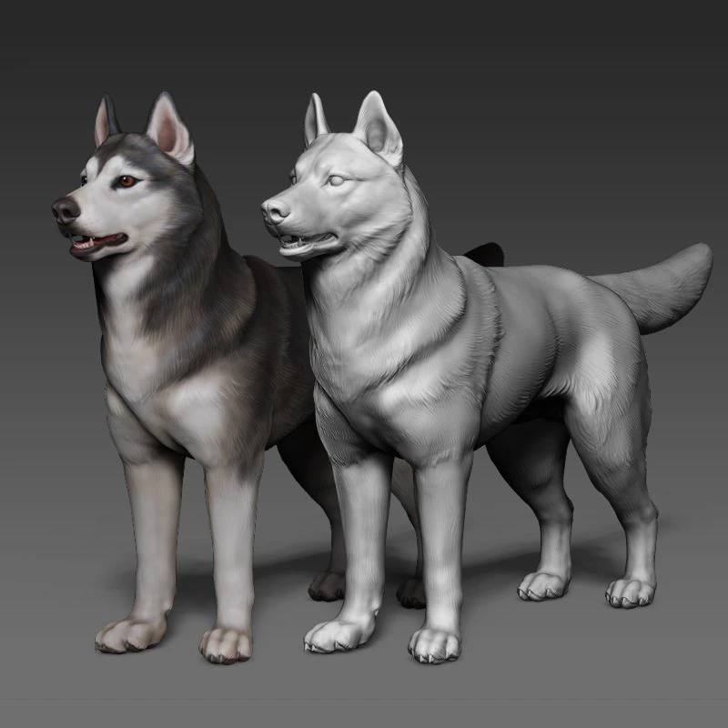 siberian husky high polygon with polypaint 3D Model .c4d .max .obj .3ds .fbx .stl .blend 