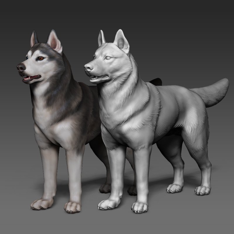 Siberian Husky High Polygon With Polypaint 3d Model In Dog 3dexport