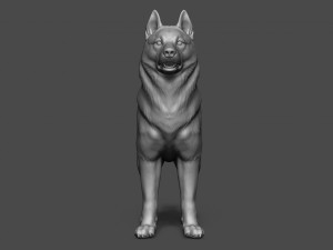 siberian husky high polygon with polypaint 3Dモデル