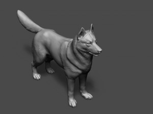 siberian husky high polygon with polypaint 3Dモデル