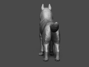 siberian husky high polygon with polypaint 3D Model