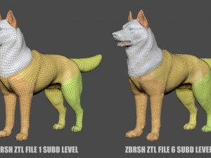 siberian husky high polygon with polypaint 3Dモデル