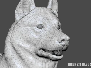 siberian husky high polygon with polypaint 3D Model