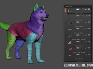 siberian husky high polygon with polypaint 3D Model