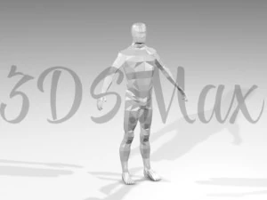 maschio a rete a base bassa di poli Modello 3D