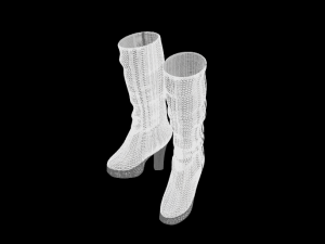 shoe 3D Model