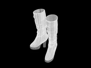 shoe 3D Model
