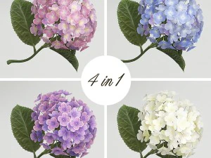 hydrangeas and roses in a vase 3D Model