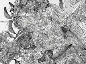hydrangeas and roses in a vase Model 3D