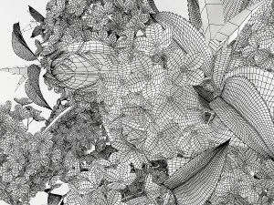 hydrangeas and roses in a vase 3D Model