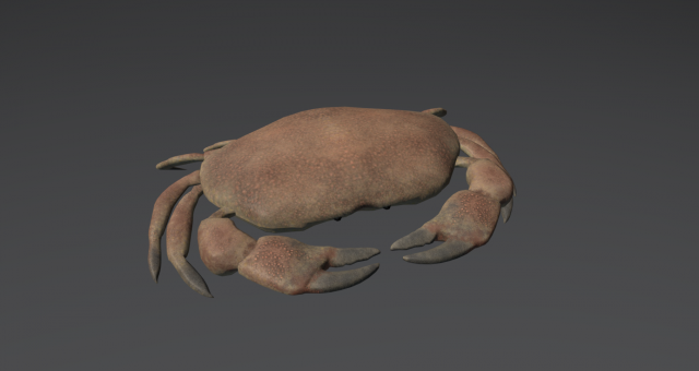 realistic crab Modelo de impresión 3D .c4d .max .obj .3ds .fbx .stl .blend 