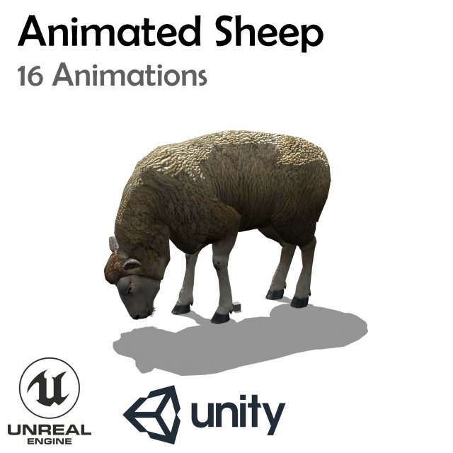 sheep animated 3D 모델 .c4d .max .obj .3ds .fbx .stl .blend 