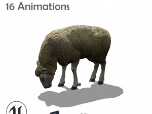 sheep animated 3D Модель