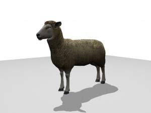sheep animated 3D 모델