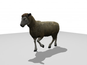 sheep animated 3D 모델