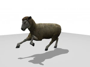 sheep animated 3D Model