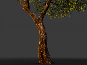realistic tree 2 3D Model