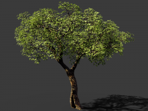 realistic tree 2 3D 模型