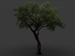 realistic tree 2 3D 模型