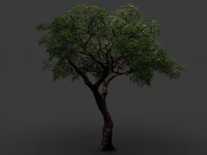 realistic tree 2 3D Model