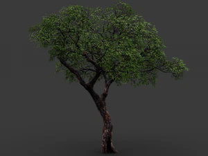 árbol realista 2 Modelo 3D
