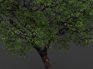 realistic tree 2 3D 模型