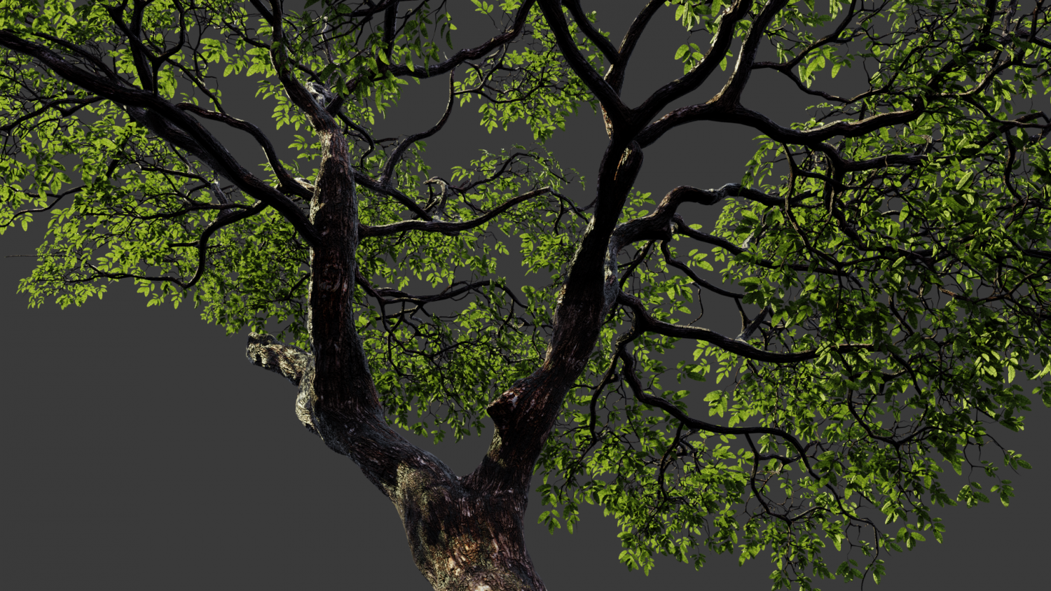 Дерево 3д модель для печати. Худое дерево. Сосновый бор ольхон. 3d two trees. 3d two trees.