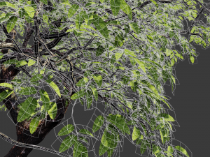 realistic tree 2 3D 模型