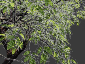 realistic tree 2 3D Model