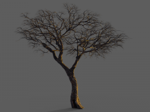 realistic tree 2 3D 模型