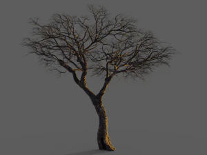 realistic tree 2 3D Model