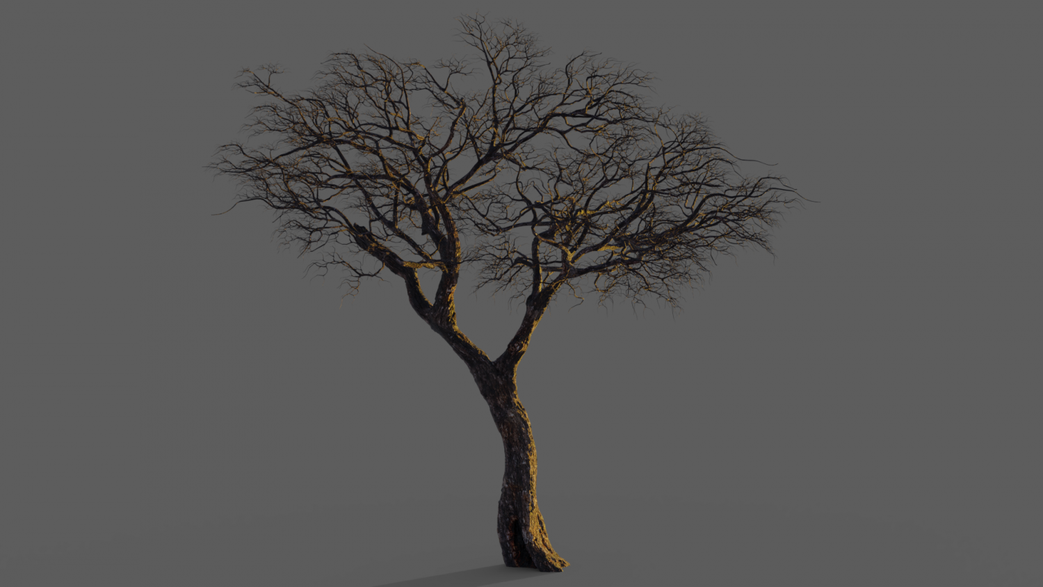 Дерево 2д. 3d two trees. 3d two trees. Дерево 4д простое. 3d two trees.