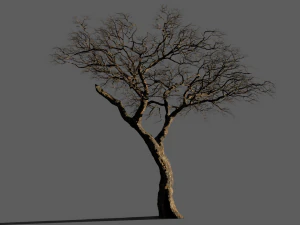 realistic tree 2 3D Model