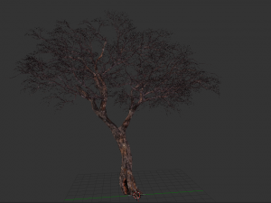 realistic tree 2 3D 模型
