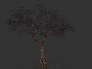 realistic tree 2 3D Model