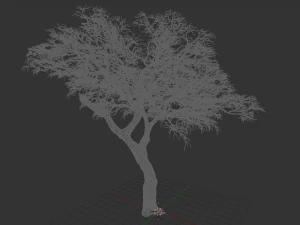 realistic tree 2 3D Model