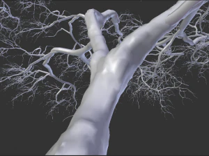 realistic tree 2 3D Model