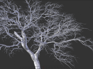 realistic tree 2 3D 模型