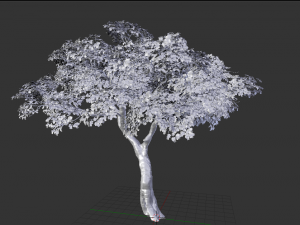 realistic tree 2 3D 模型