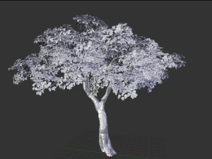 realistic tree 2 3D Model