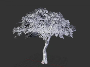 realistic tree 2 3D Model