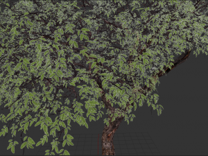realistic tree 2 3D 模型