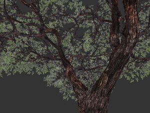 realistic tree 2 3D 模型