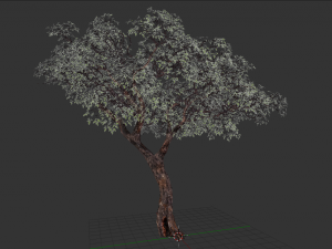 realistic tree 2 3D 模型
